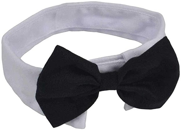 Amazon.com : Heypet Formal Pets Bowtie, Dog Cat Pets Adjustable Bow Tie and Collar DCL01 (01) : Pet Supplies