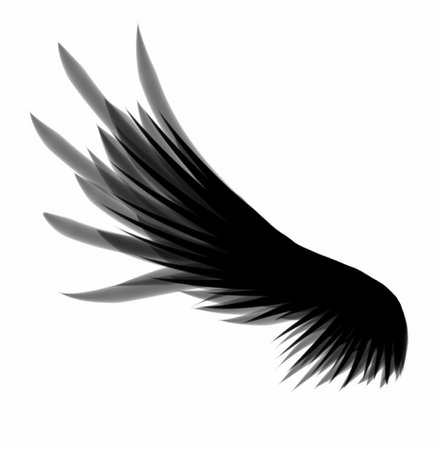 black swan wing
