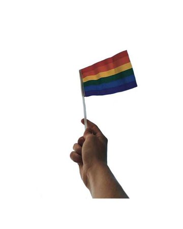 pride flag :)