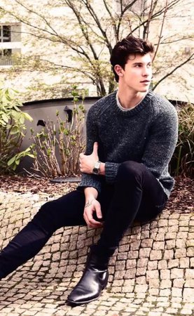 casual shawn mendes outfits - Google Search