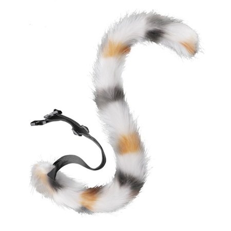 Cat tail