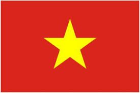 vietnamese flag - Google Search