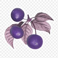 purple violet stickers vintage - Google Search