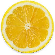 lemon slice - Google Search