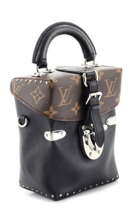 Louis Vuitton Pre-Owned Louis Vuitton Camera Box Bag