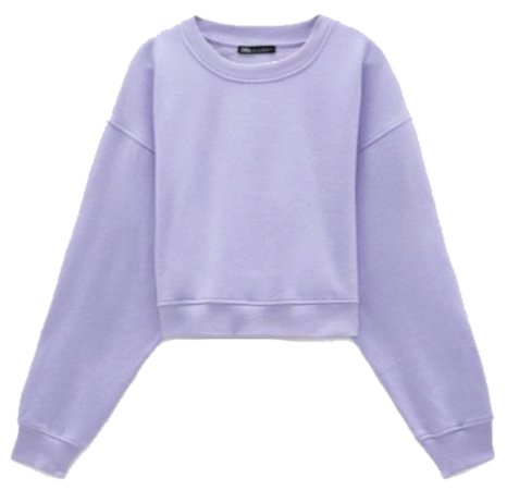 lilac Zara sweatshirt