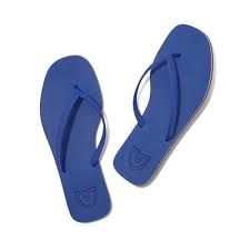 blue cute flip flops - Google Search