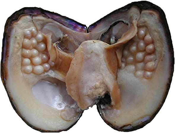 freshwater pearl oyster opened