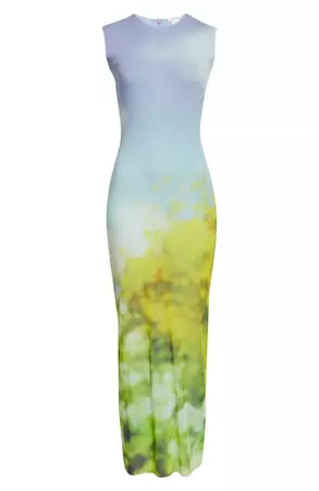 Acne Studios Flora Blurry Landscape Maxi Dress | Nordstrom