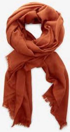 burnt orange scarf