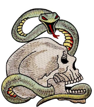 snake & skull patch