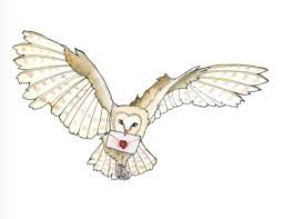harry potter owls - Google Search