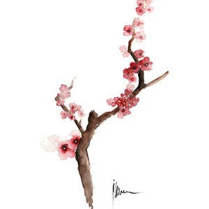 Cherry Blossom Branch Watercolor Art Print Painting Painting by Joanna Szmerdt