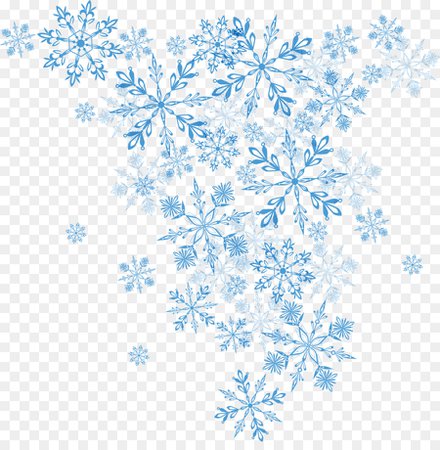 kisspng-snowflake-winter-euclidean-vector-christmas-vector-blue-snowflake-5a942b936455d0.290792731519659923411.jpg (900×920)