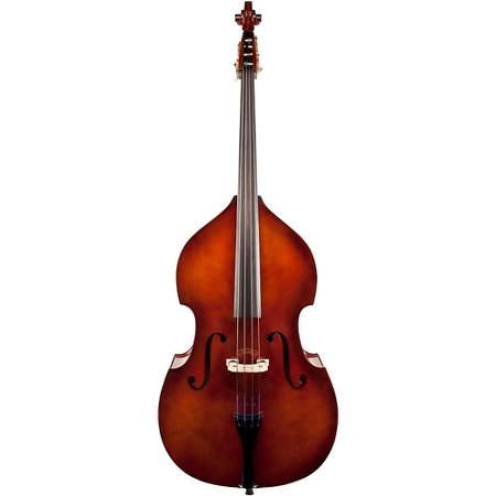 Upright String Double Bass