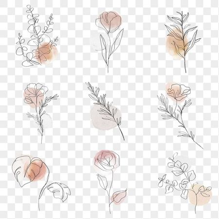 Flowers Aesthetic PNG