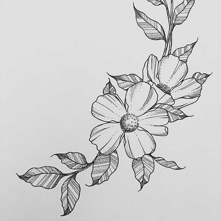 flowers-drawn
