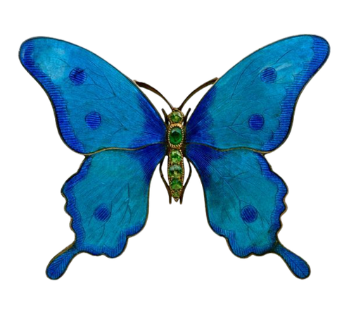 butterfly enamel brooch