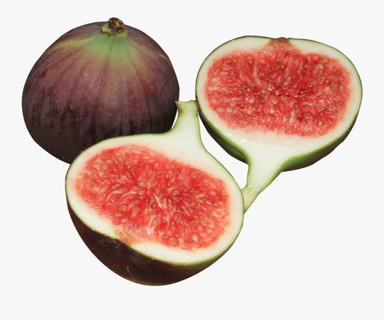 figs png - Búsqueda de Google