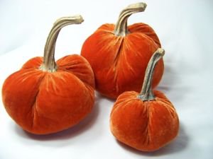 velvet pumpkins - Google Search