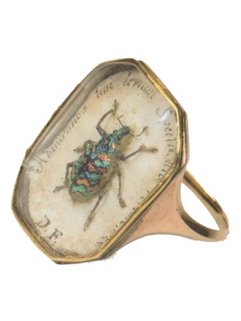 bug ring