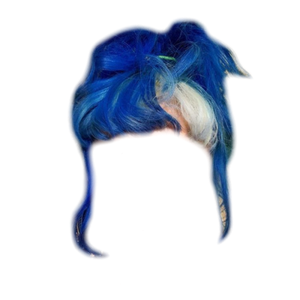blue hair png bun/ponytail