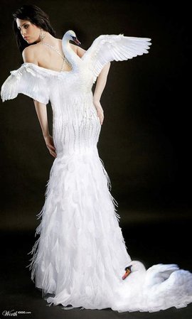 swan dress - Images - OceanHero