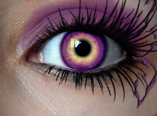 purple yellow eye