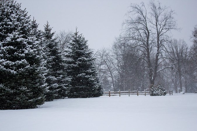 Snow Sunday Morning | Snowy Sunday morning. December 11, 201… | marylea | Flickr