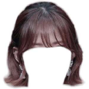 Short Brown Hair PNG Bangs
