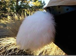 Bunny tail - Google Search