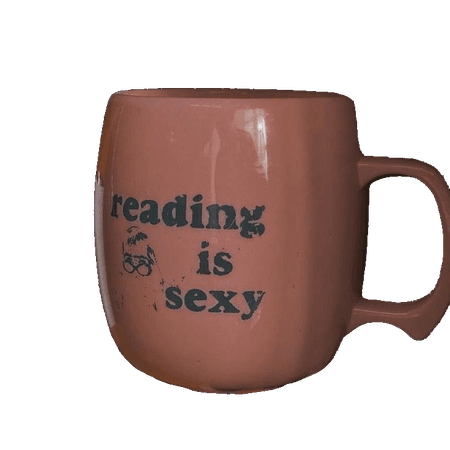 reading is sexy mug