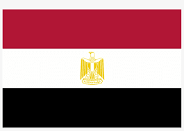 egypt flag - Google Search