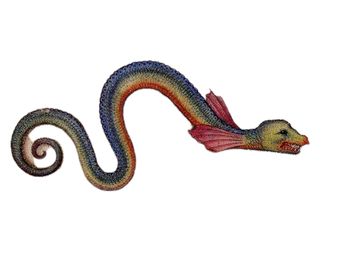 colorful snake dragon cryptid
