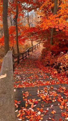 Autumn in the city | Autumn scenery, Fall pictures, Autumn scenes