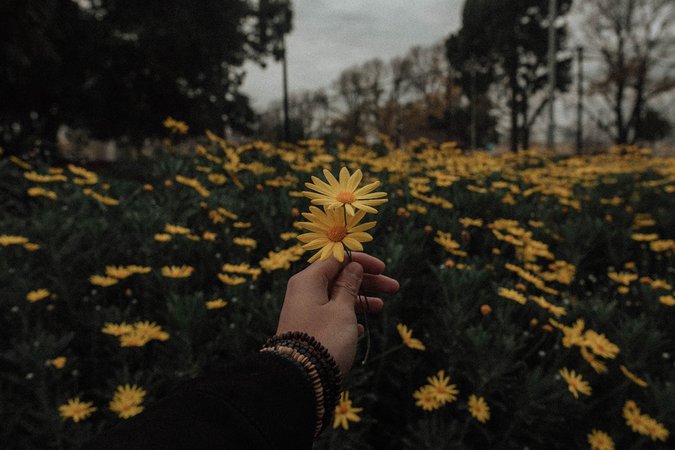 flower hands