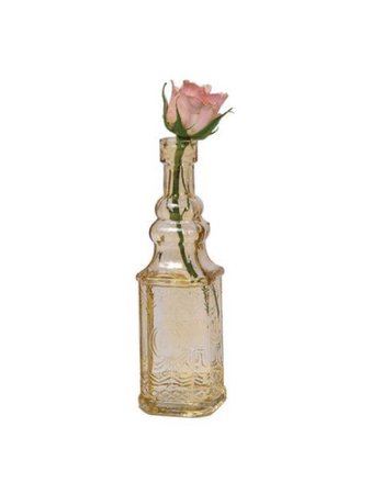 rose in a bottle
