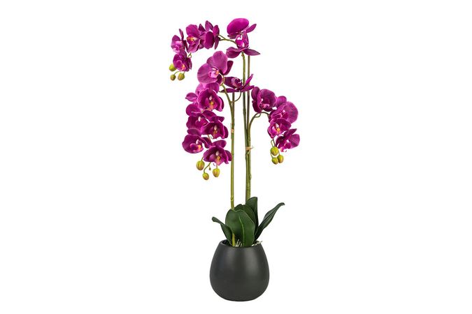 32-inch Fushia Orchid in Black Ceramic Pot | Ashley