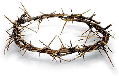 Amazon.com: Bethlehem Gifts TM Authentic Jesus Biblical Crown of Thorns from The Holy Land (7-8" Diameter): Home & Kitchen
