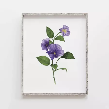 violet flower - JesMarried
