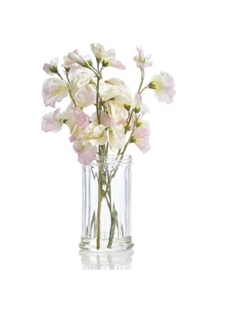flowers vase png filler