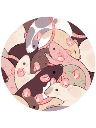 rats! tumblr: dreamofharpsong