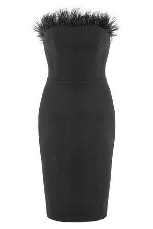 Clothing : Bodycon Dresses : 'Bianca' Black Feather Strapless Dress