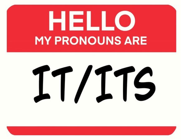 It/Its Pronouns Pride