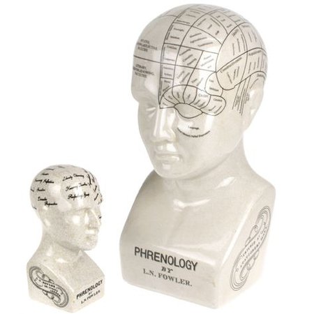 Phrenology Head Description An artifact of a once very influential science phrenology models and charts acted as a reference tool… | Phrenology head, Sculpture, Statue