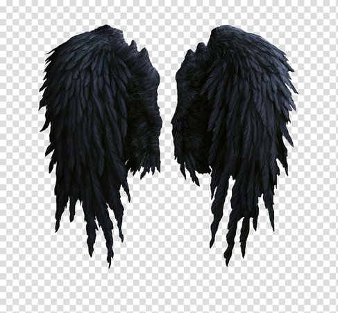 black wings costume – Pesquisa Google