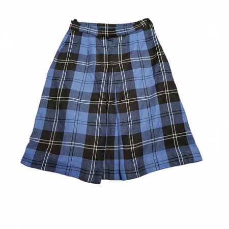 Blue Vintage gingham Skirt