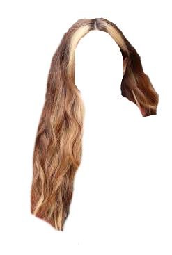 Blonde Bangs PNG Brown Hair (@demiwitchofmischief)