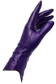 long purple leather gloves - Google Search