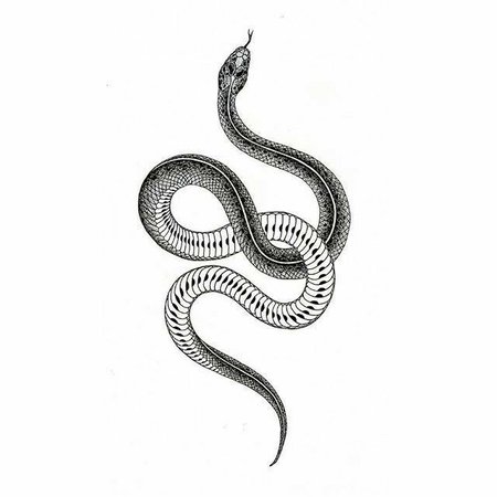 tattoo design snake - Búsqueda de Google